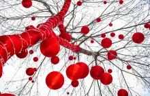 How Painkillers Affect the Nervous System