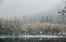 How to Manage Seasonal Depression