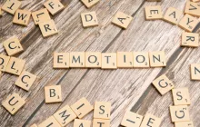 Understanding Emotional Intelligence in Adults